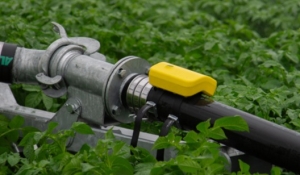 Ver todo dentro de Irrigation sensors